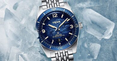 Seagull 1984 Antarctic Expedition Special Edition